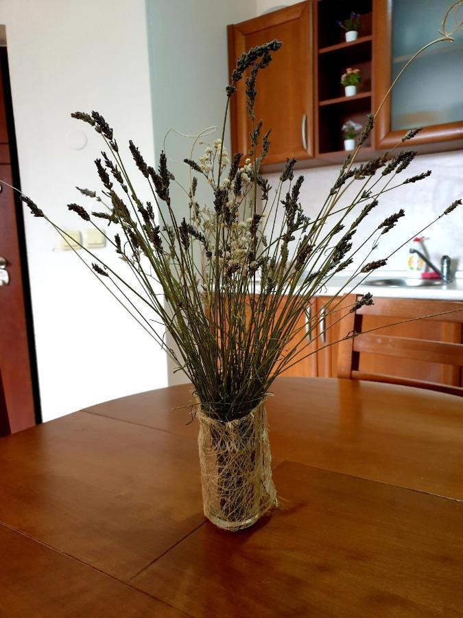 Edelweiss Inn Aparthotel, Apartment 32 บันสโก ภายนอก รูปภาพ